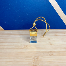 Load image into Gallery viewer, Sauvage Car Diffuser